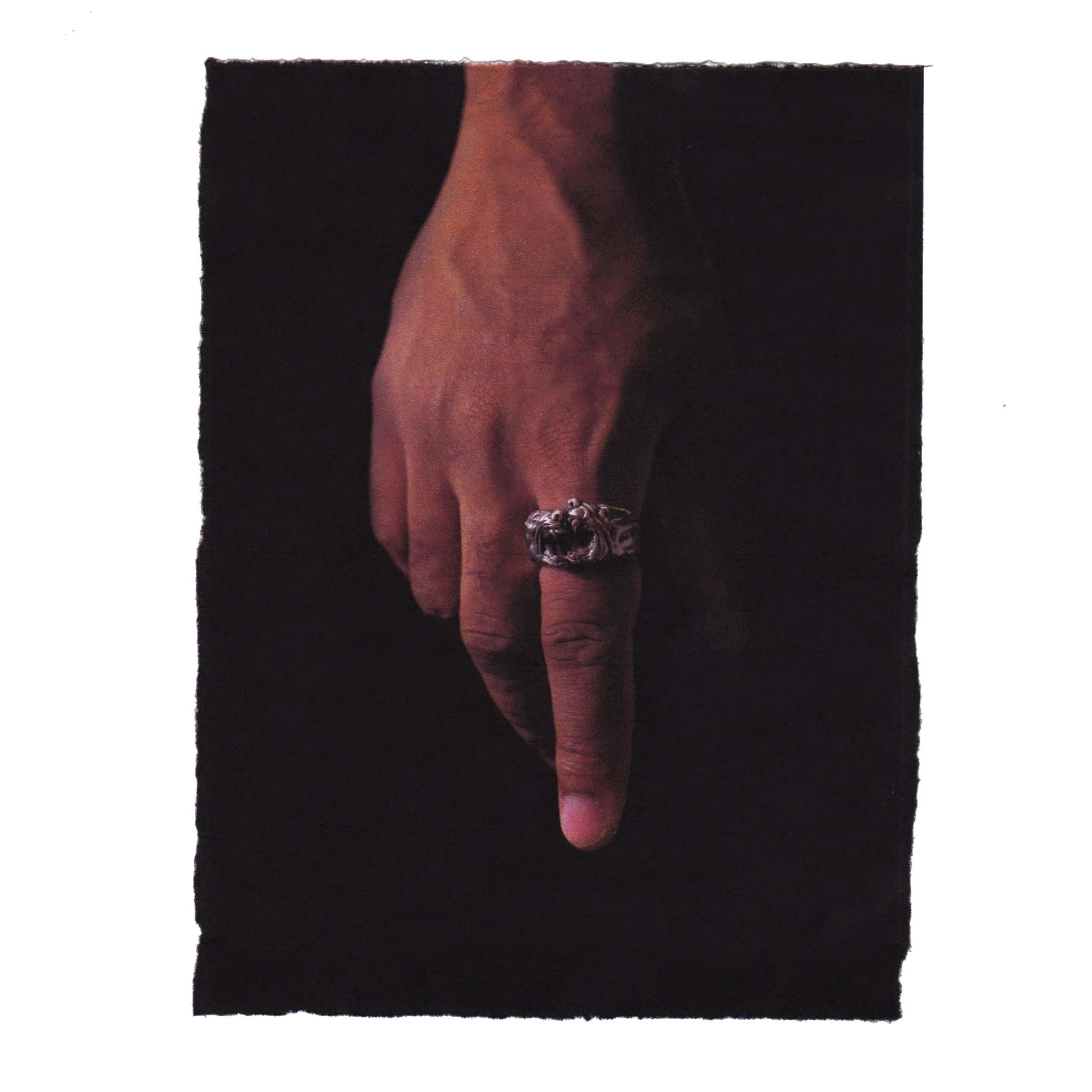 DOG FIGHT RING